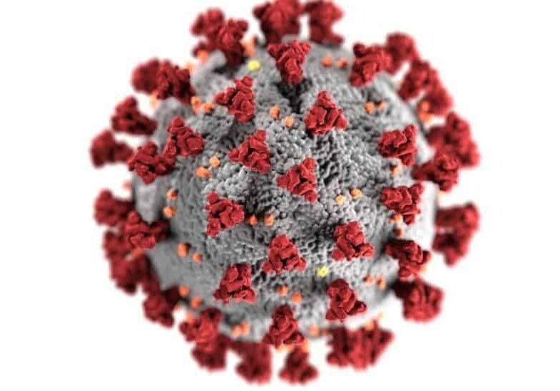 coronavirus