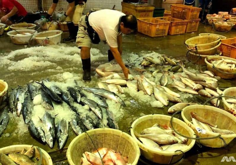 jurong-fishery-port